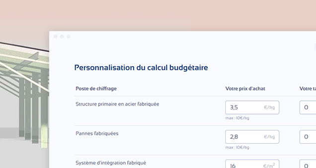 Presentation of preliminary study proposal with budget spreadsheet